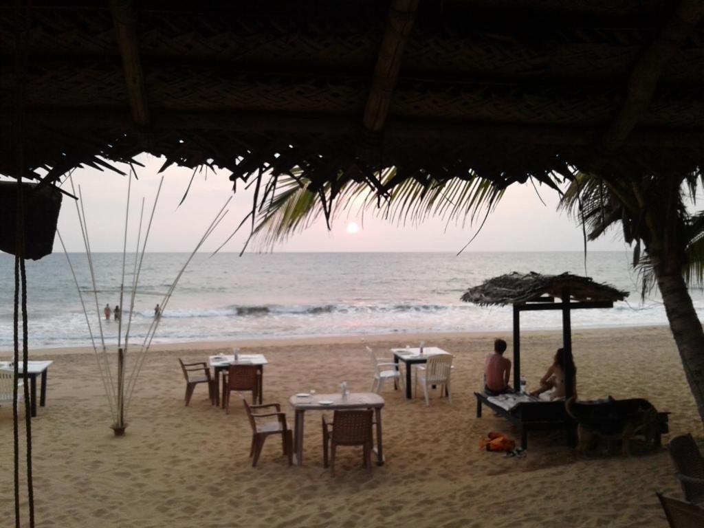 Горящие туры в отель Janus Paradise Rest Индурува Шри-Ланка