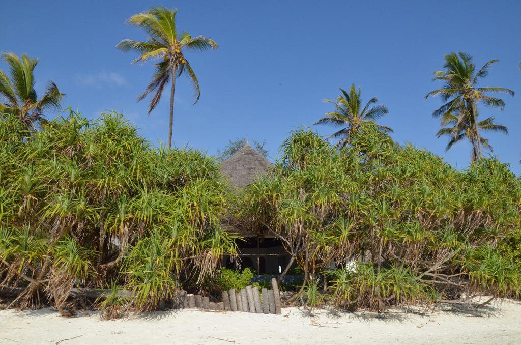 Matemwe Beach Guesthouse, фотографии
