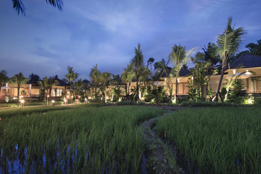 Sankara Resort Ubud, Убуд, Индонезия, фотографии туров