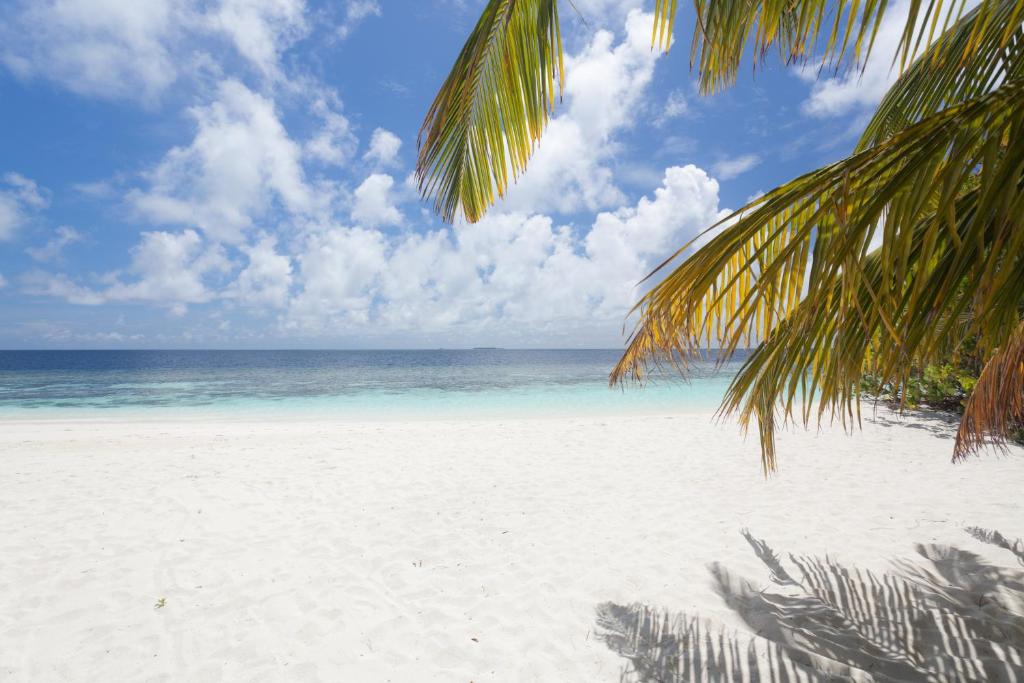 Oferty hotelowe last minute Sandies Bathala Island Resort Atole Ari i Rasdhoo Malediwy