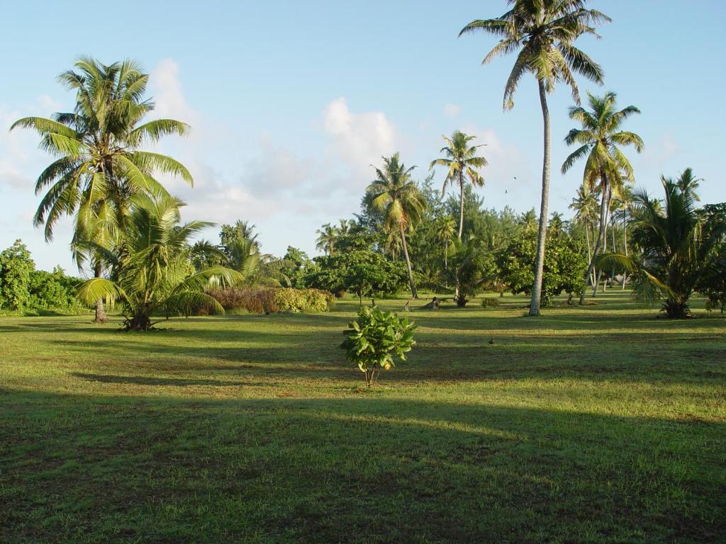 Отдых в отеле Bird Island Seychelles - Private Island Villas