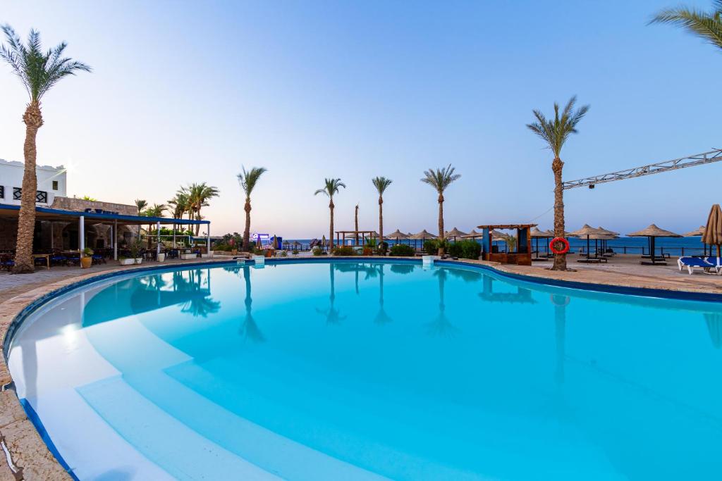 Odpoczynek w hotelu Sharm Plaza (ex. Crowne Plaza Resort) Szarm el-Szejk Egipt