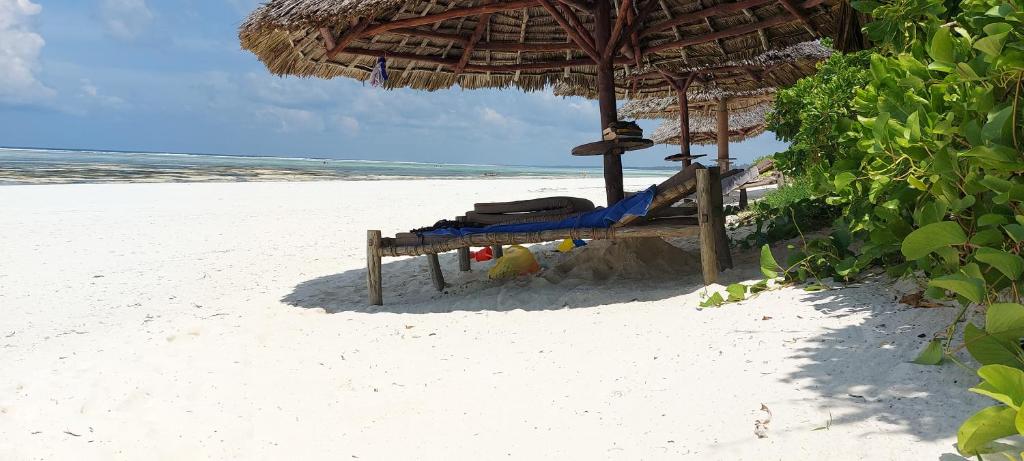 Kena Beach Hotel (ex. Azanzi Hotel) Танзания цены