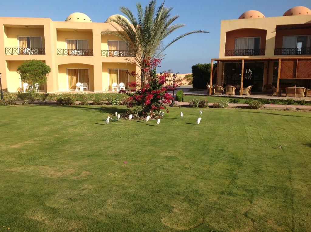 Hotel rest Wadi Lahmy Azur Resort