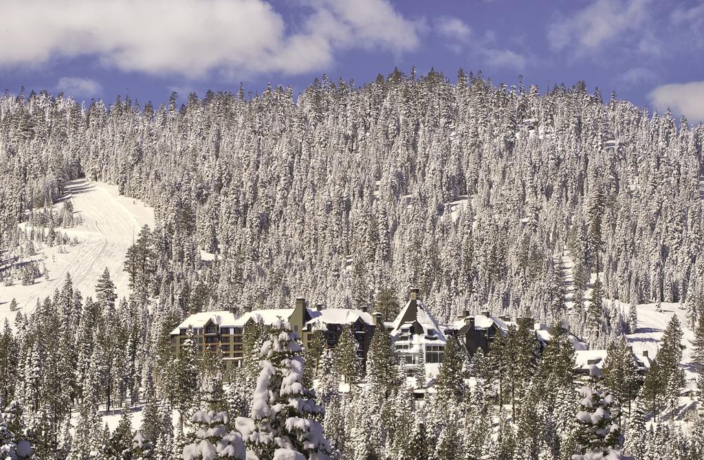 The Ritz-Carlton, Lake Tahoe, оз. Тахо, фотографии туров