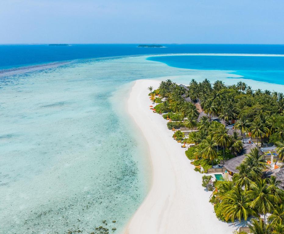Angsana Velavaru, Malediwy, Atol Dhaalu, wakacje, zdjęcia i recenzje