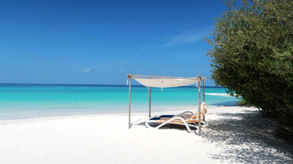 Eriyadu Island Resort, Северный Мале Атолл, Мальдивы, фотографии туров