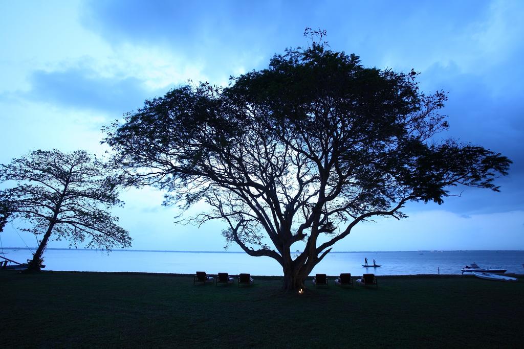Jetwing Lagoon, Sri Lanka, Negombo, wakacje, zdjęcia i recenzje