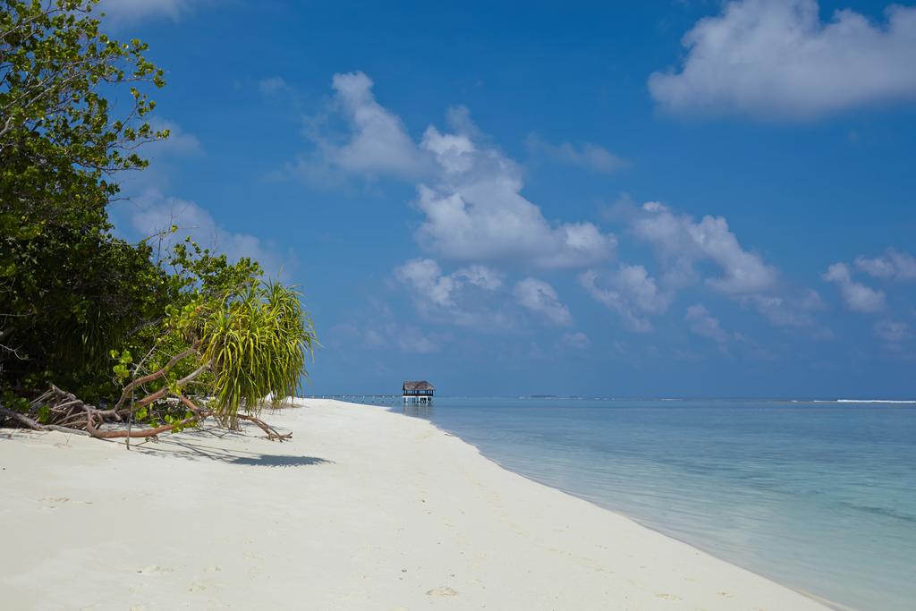 Tours to the hotel Palm Beach Resort & Spa Maldives Laviani Atoll
