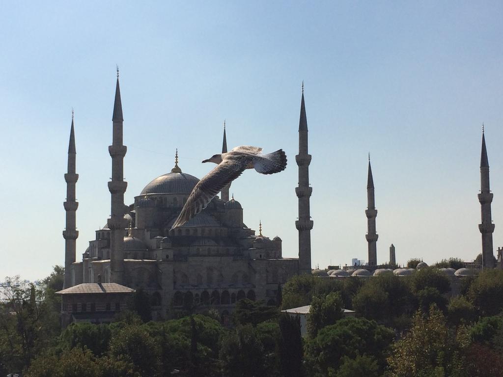 Туры в отель Kalyon Hotel Стамбул Турция