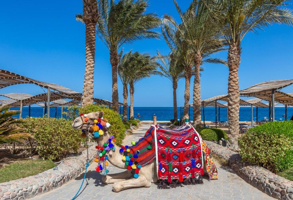 Египет King Tut Aqua Park Beach Resort
