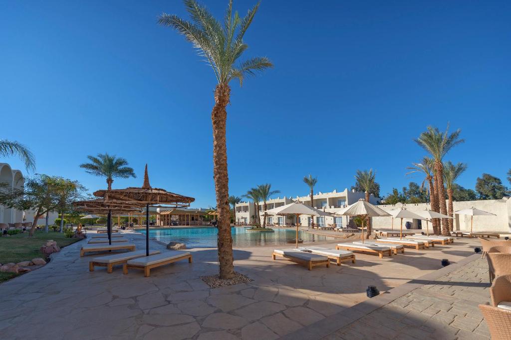 Готель, Єгипет, Шарм-ель-Шейх, Reef Oasis Beach Resort