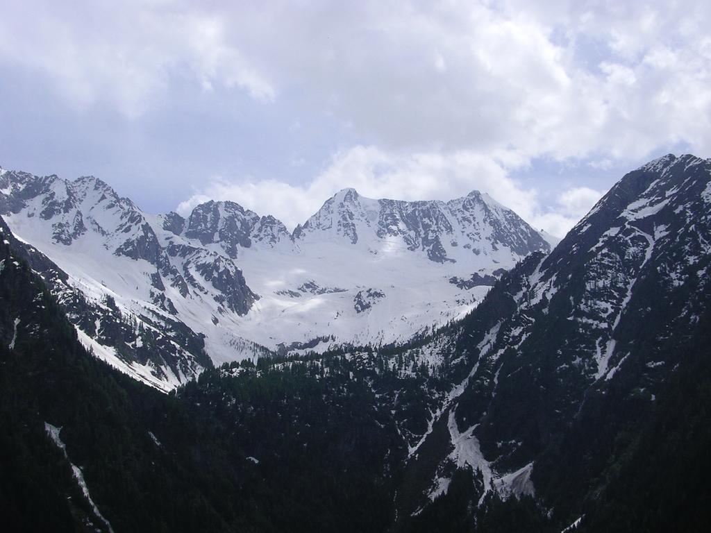 Orchidea, Italy, Passo Tonale, tours, photos and reviews