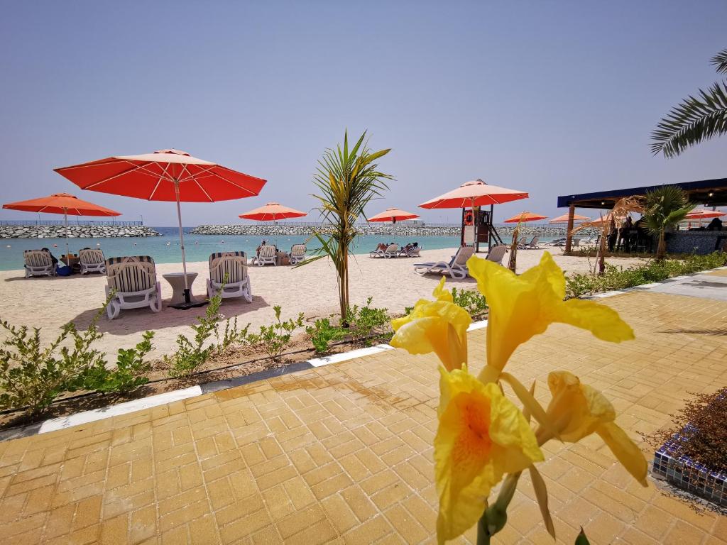 Отзывы гостей отеля Mirage Bab Al Bahr Resort