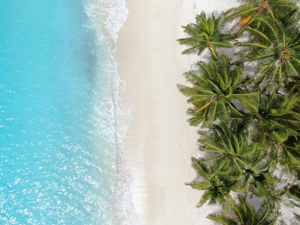 Горящие туры в отель Ocean Villa With Pool & Spa Каафу Атолл Мальдивы