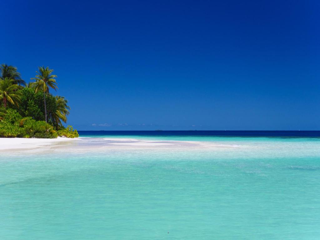Mirihi Island Resort, Мальдивы, Ари & Расду Атоллы, туры, фото и отзывы