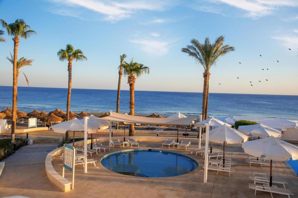 Hotel, Egipt, Szarm el-Szejk, Sunrise Remal Beach Resort