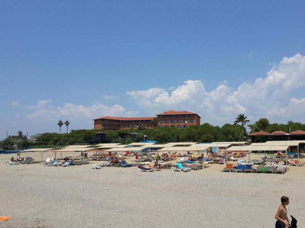 Відгуки туристів Club Turtas Beach Hotel