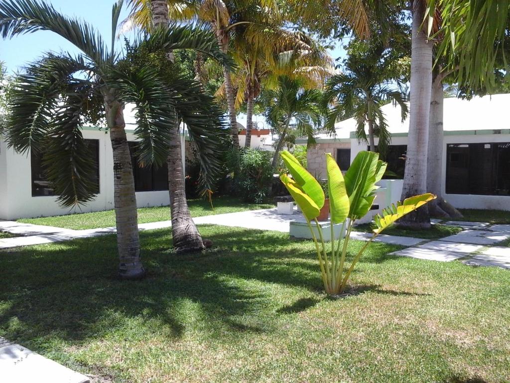 Плая-дель-Кармен Hotel Club Akumal Caribe