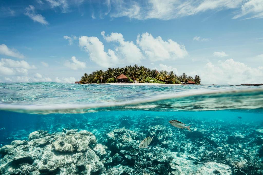 Robinson Maldives (Adults Only), фотографии