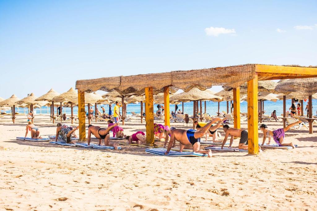 Туры в отель Coral Beach Rotana Resort Montazah Шарм-эль-Шейх Египет