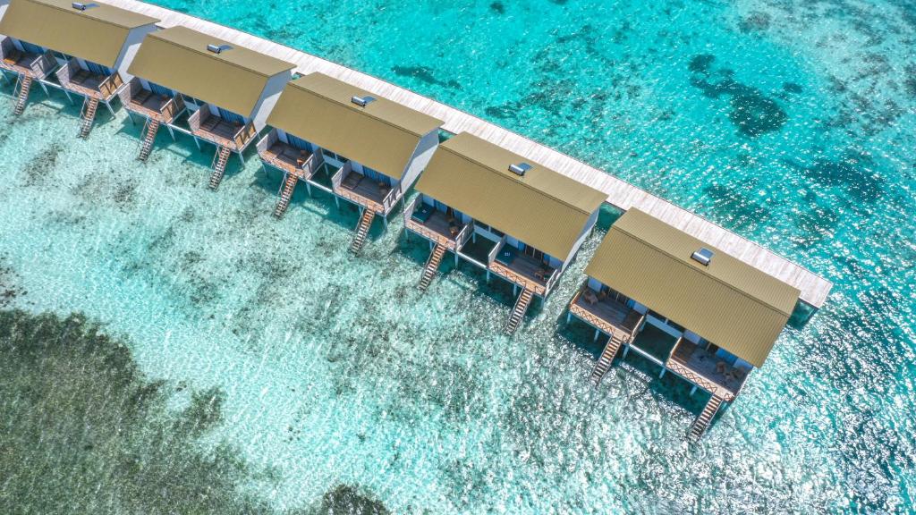 South Palm Resort Maldives, Мальдивы, Адду Атолл, туры, фото и отзывы