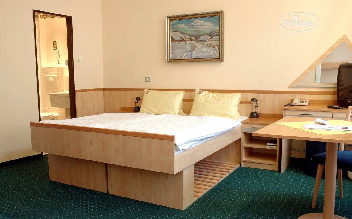 Tours to the hotel Slovan