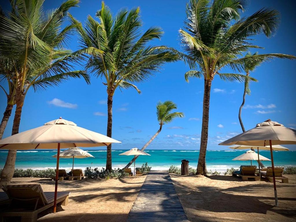 Oferty hotelowe last minute Vik Hotel Cayena Beach Punta Cana Republika Dominikany