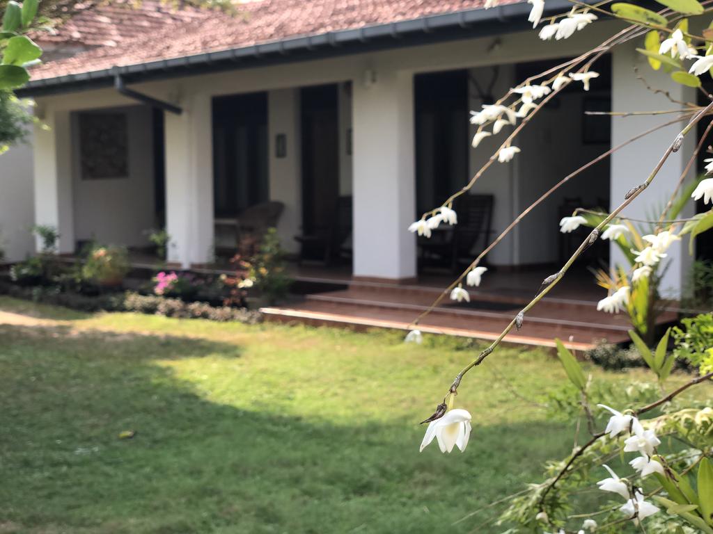Shanthi guest house, Унаватуна, Шри-Ланка, фотографии туров
