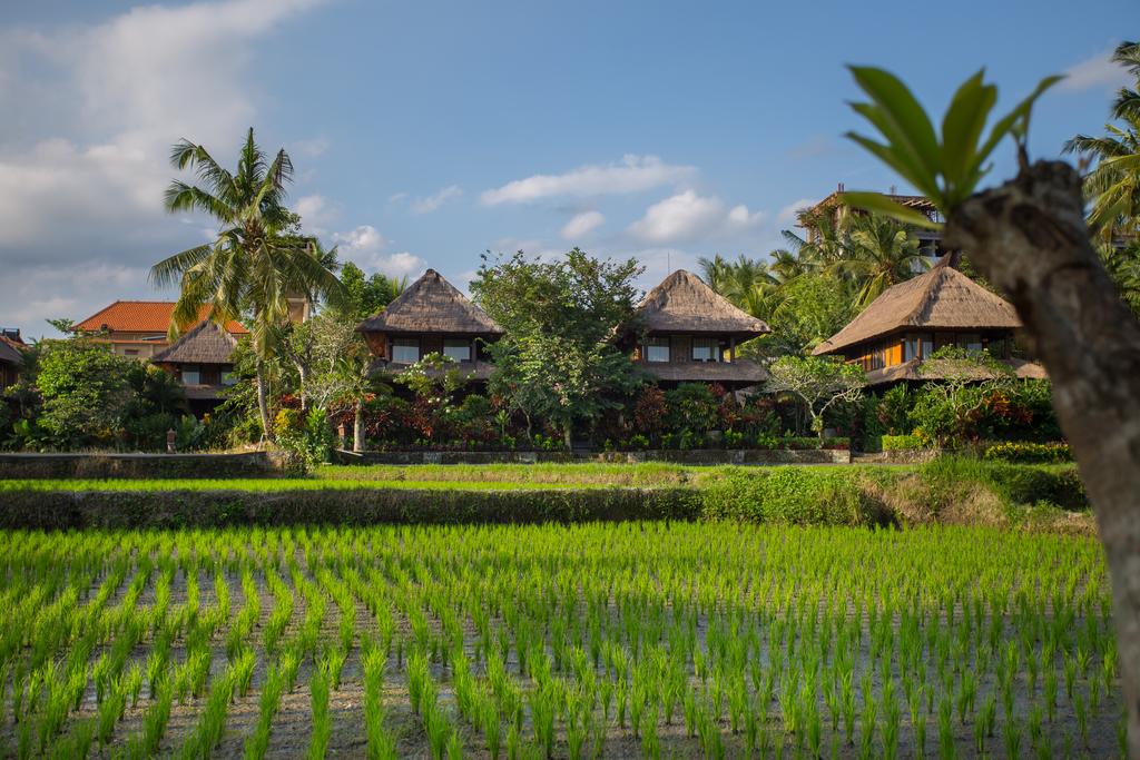 Отдых в отеле Agung Raka Танжунг-Беноа Бали (Индонезия)