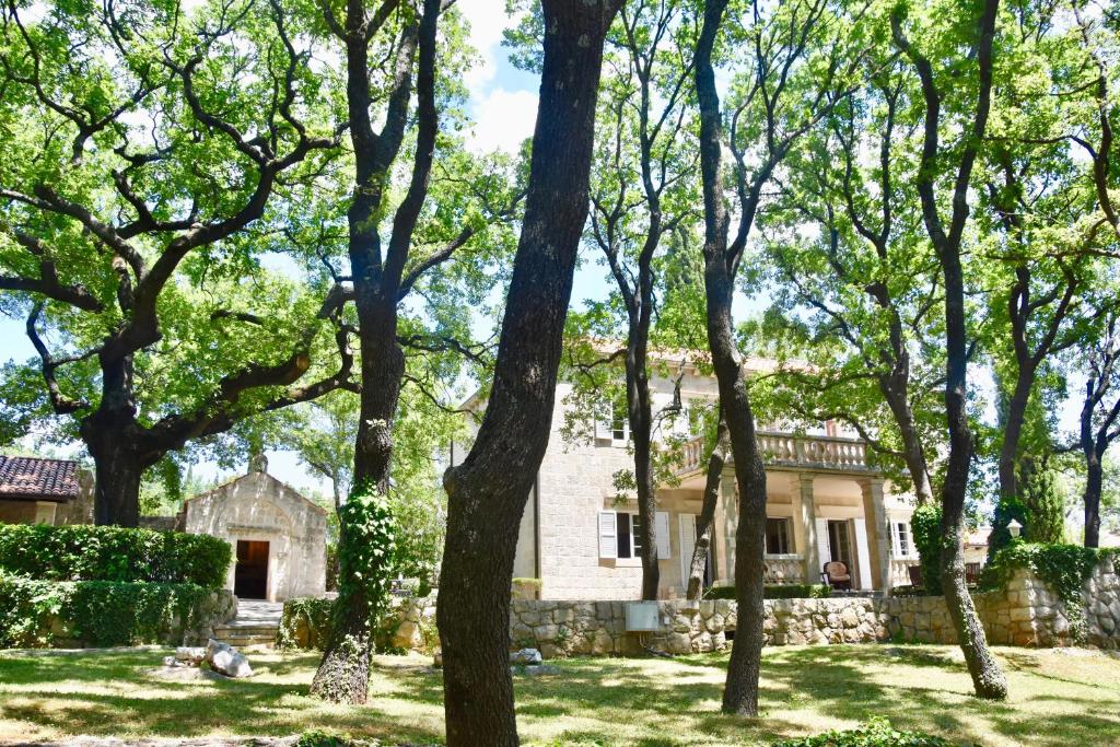 Villa Tereza, 4, фотографии