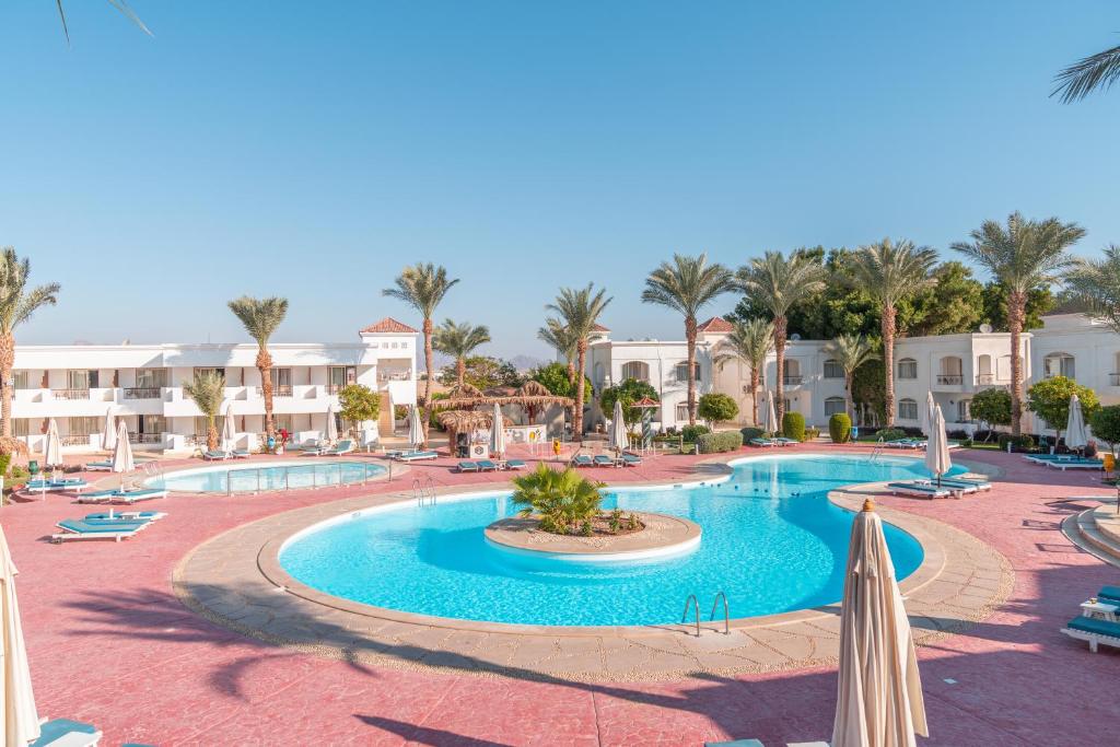 Wakacje hotelowe Viva Sharm Hotel Szarm el-Szejk