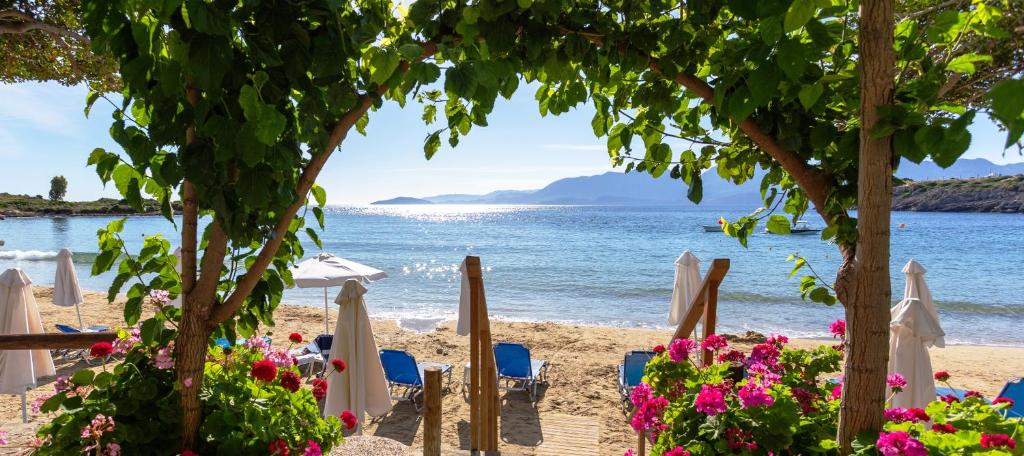 Отдых в отеле Faedra Beach Resort Лассити Греция