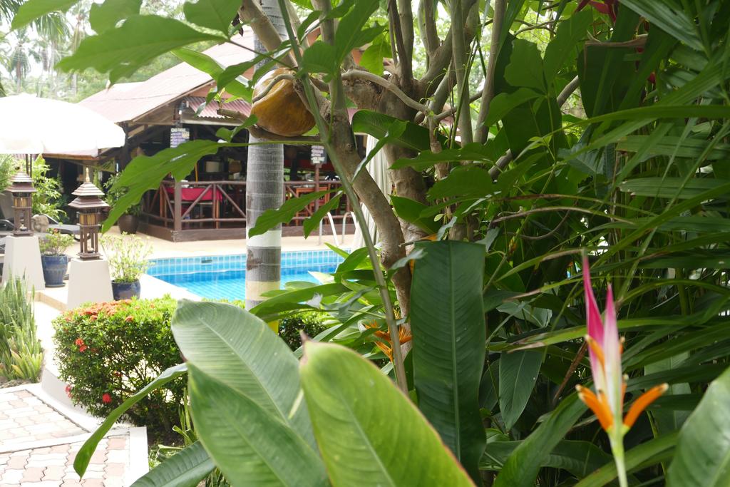 Отзывы об отеле Baan Sukreep Resort