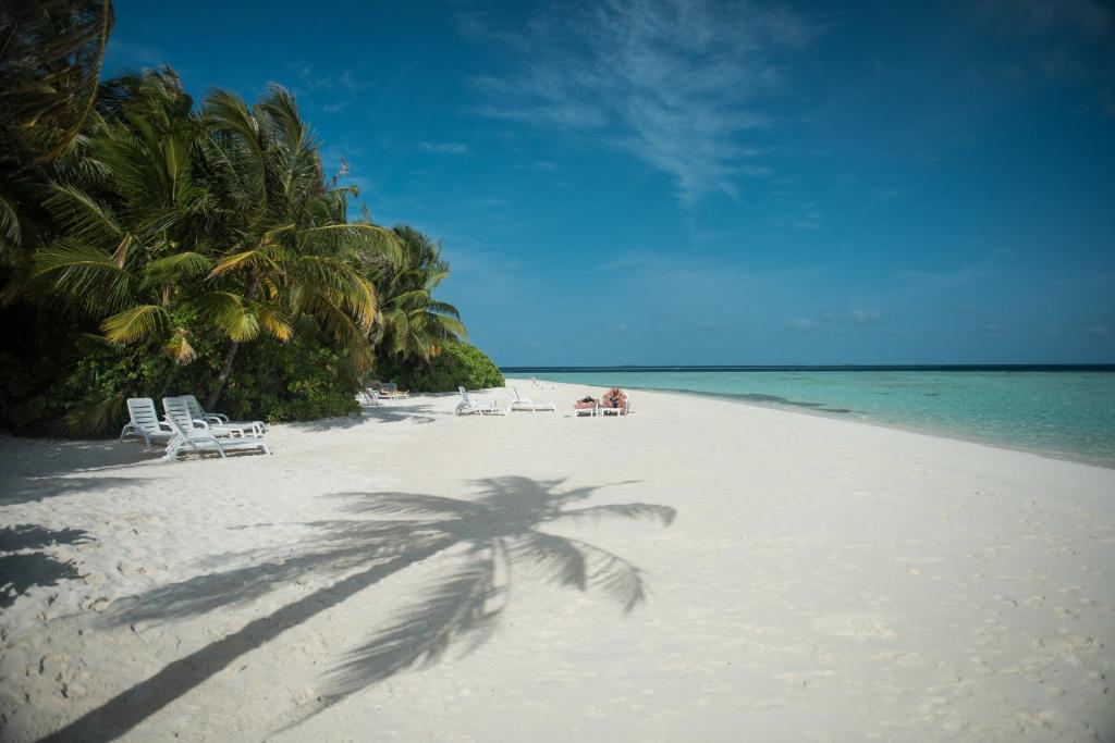 Biyadhoo Island Resort, Южный Мале Атолл, Мальдивы, фотографии туров