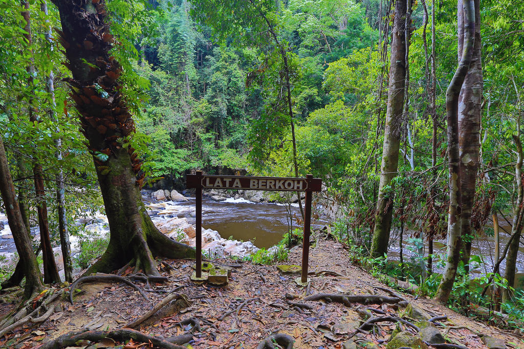 Mutiara Taman Negara Малайзия цены