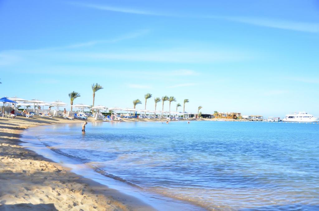 Отдых в отеле Swiss Inn Resort Hurghada (ex. Hilton Resort Hurghada) Хургада
