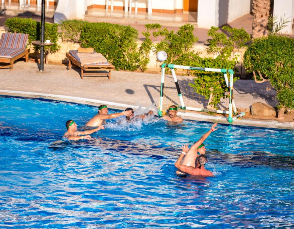 Dive Inn  Resort, Єгипет
