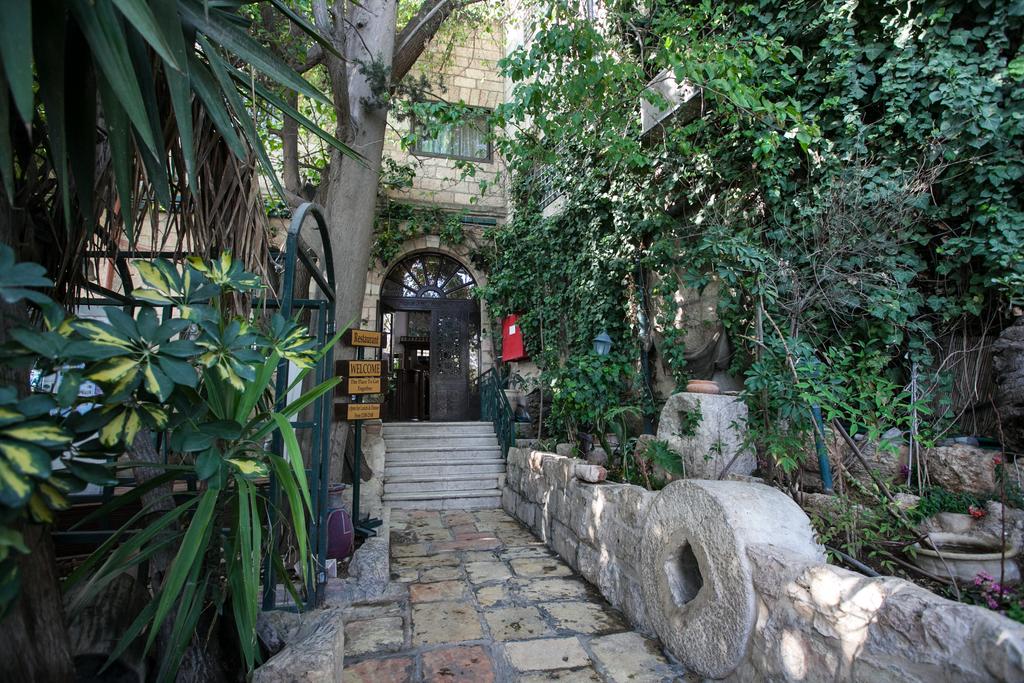 Jerusalem Hotel, 4, фотографії