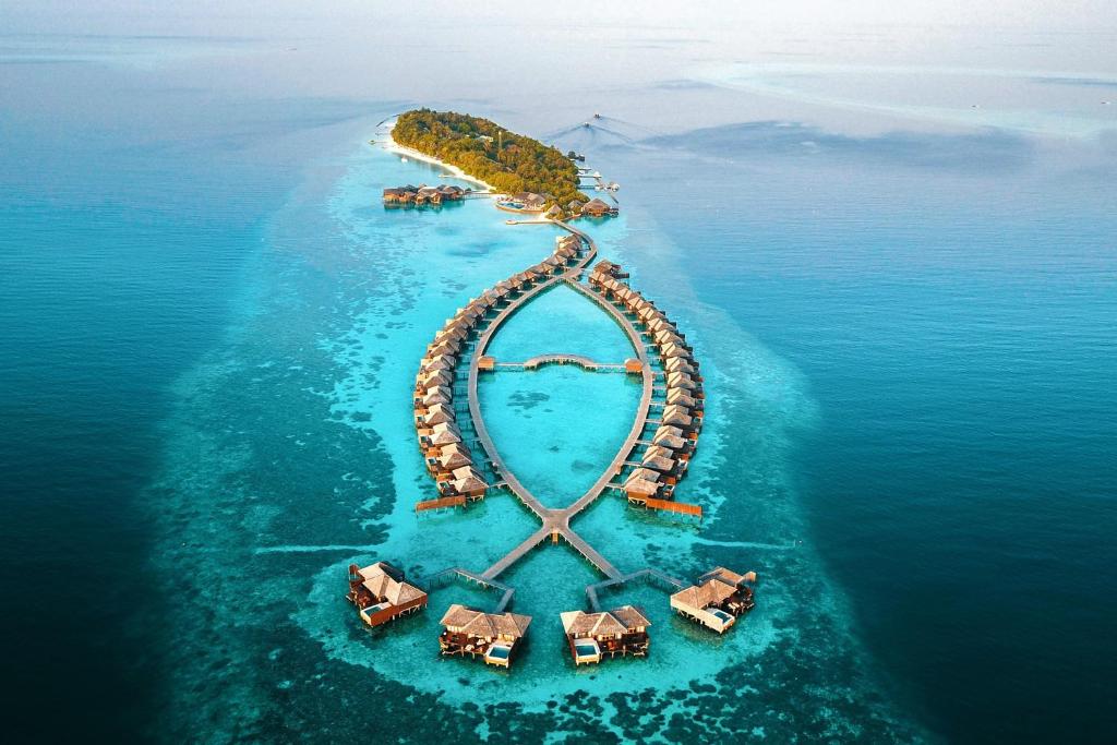 Lily Beach Resort & Spa Мальдивы цены