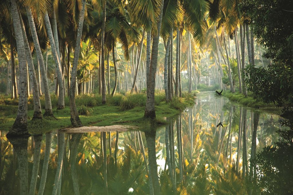 Tours to the hotel Isola Di Cocco Kerala