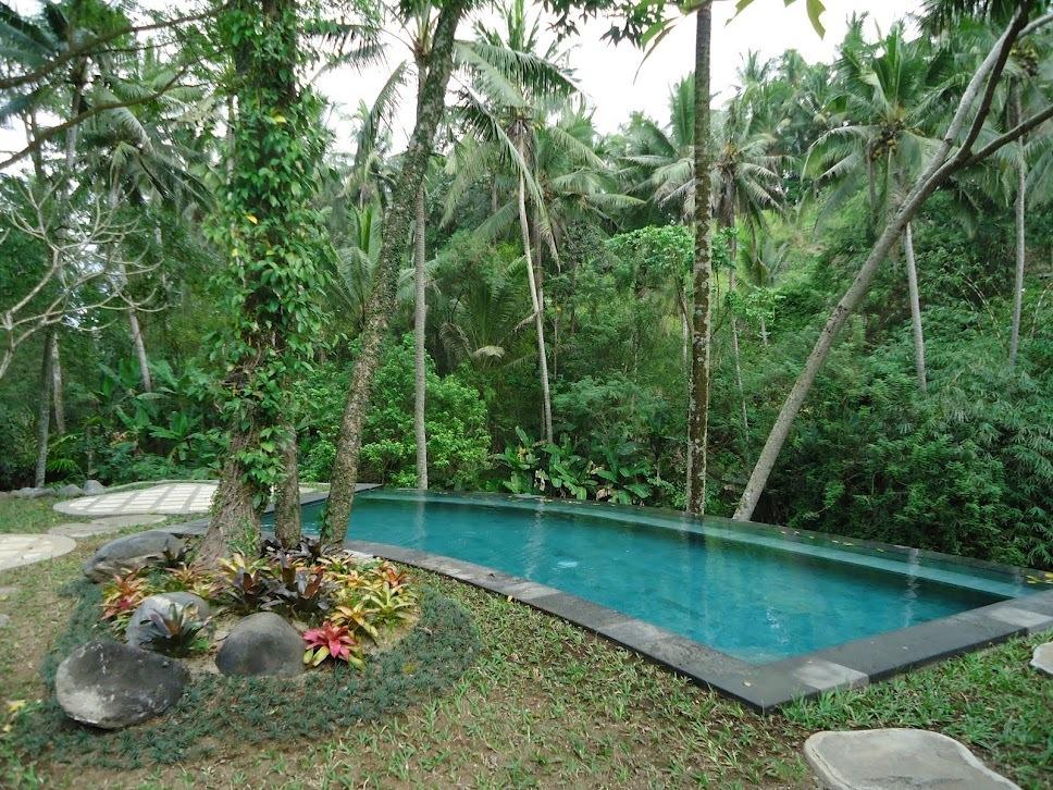 Beji Indah Villa, Индонезия, Бали (курорт), туры, фото и отзывы