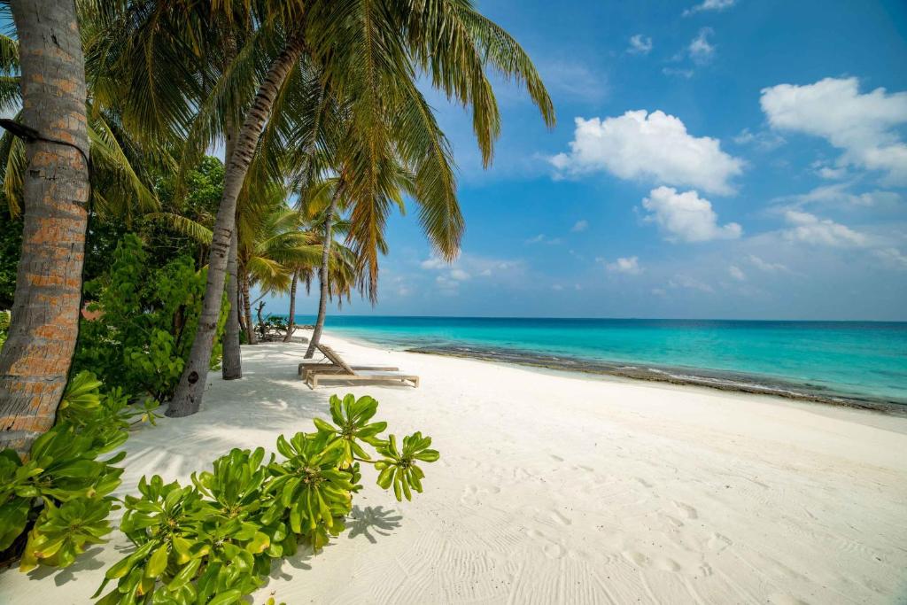 Южный Ари Атолл Fiyavalhu Maldives