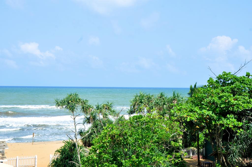 Green Shadows Beach Hotel, Шри-Ланка, Калутара, туры, фото и отзывы