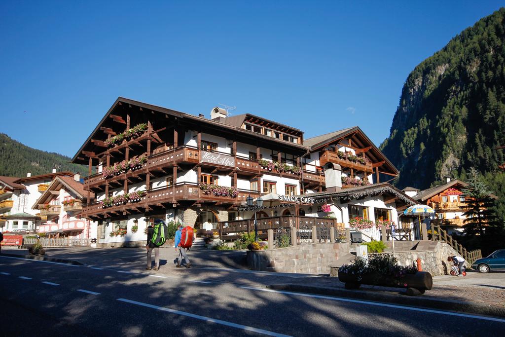 Hotel Alpi, 3, фотографии