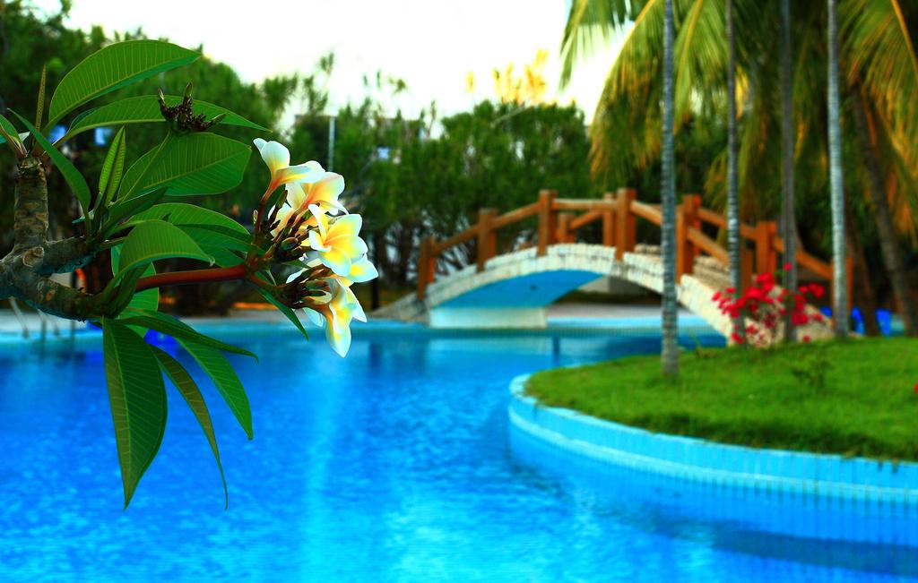 Санья Sanya Jingli Lai Resort цены