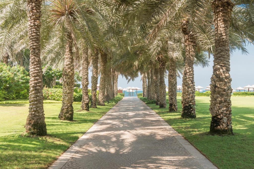 ОАЭ Coral Beach Resort Sharjah