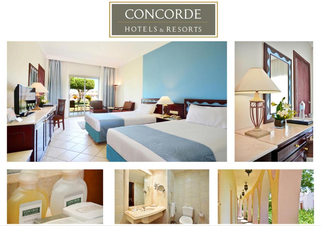 Hot tours in Hotel Concorde El Salam Sport Area Sharm el-Sheikh