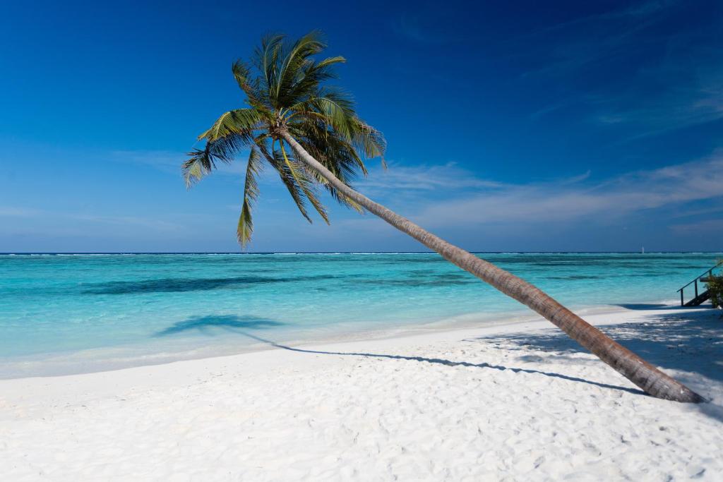 Meeru Island Resort, Maldives, North Male Atoll, tours, photos and reviews