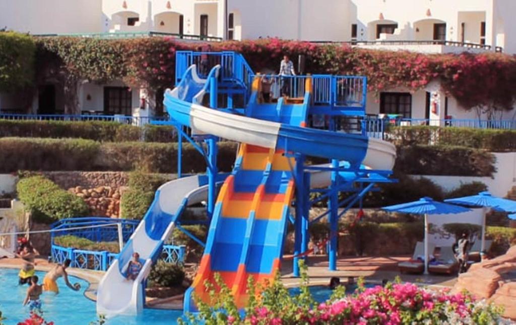 Verginia Sharm Resort & Aqua Park, Шарм-ель-Шейх, фотографії турів